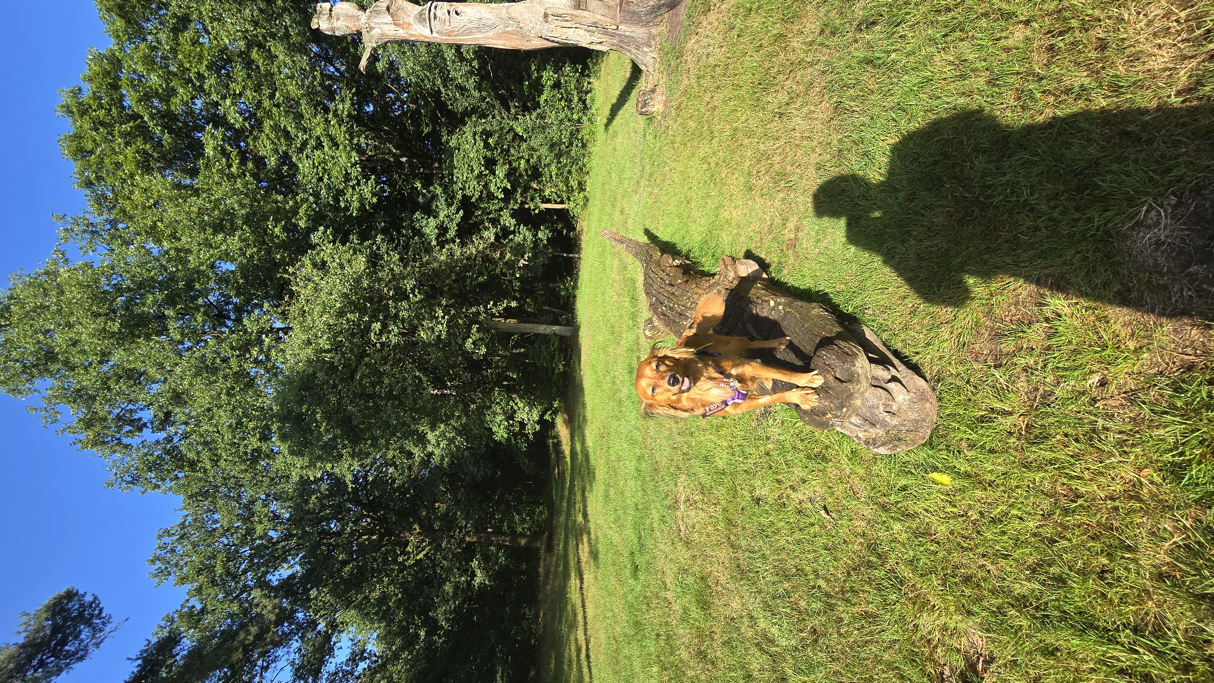 Petra en Gerda