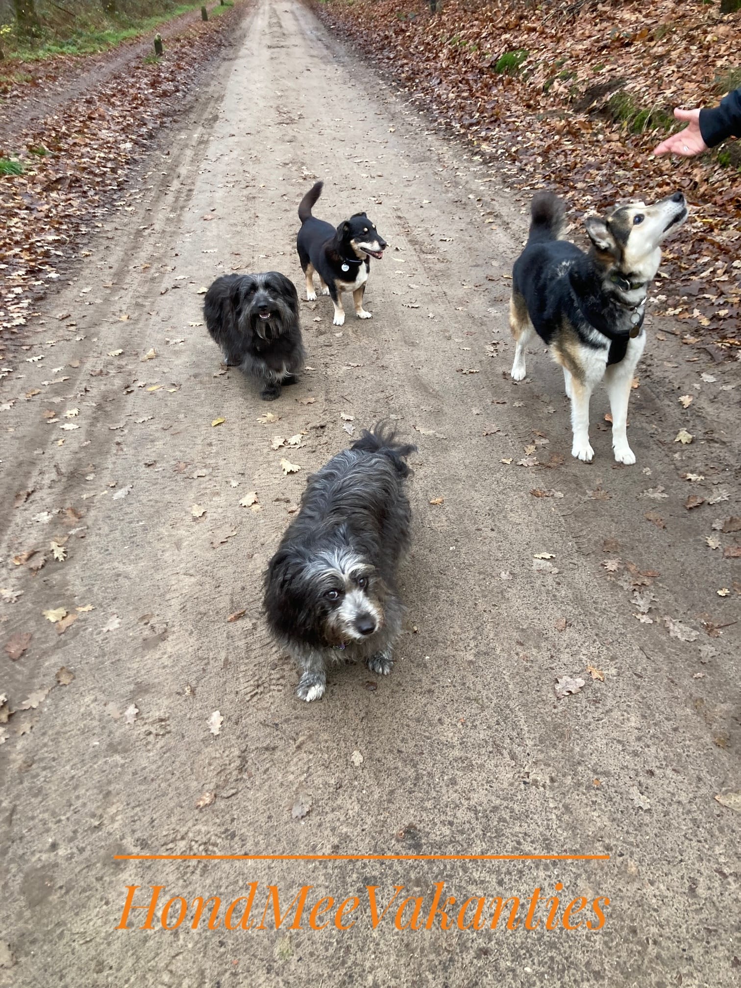 Brandon en Cenzo met Liam, Djarr, Djill en De