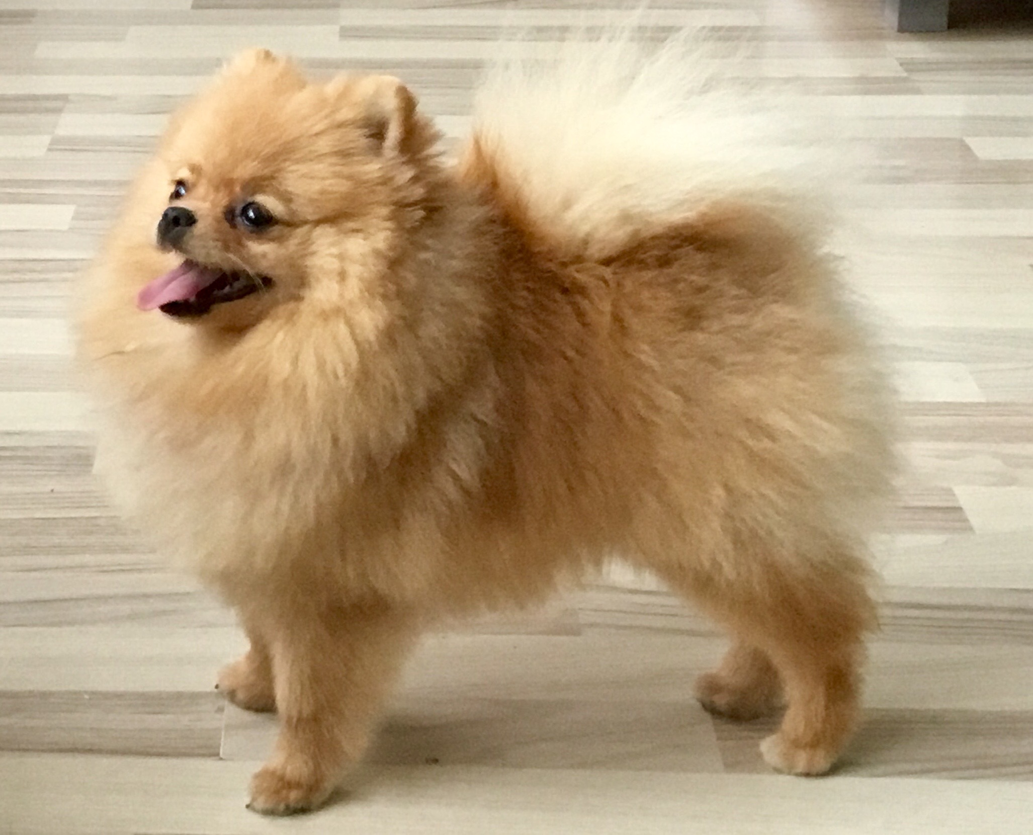 Peter en Hendrika Zandvliet