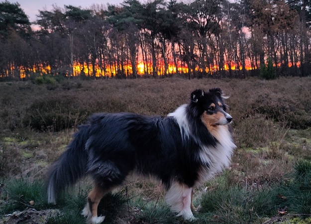 Hans & Ursula Kröder