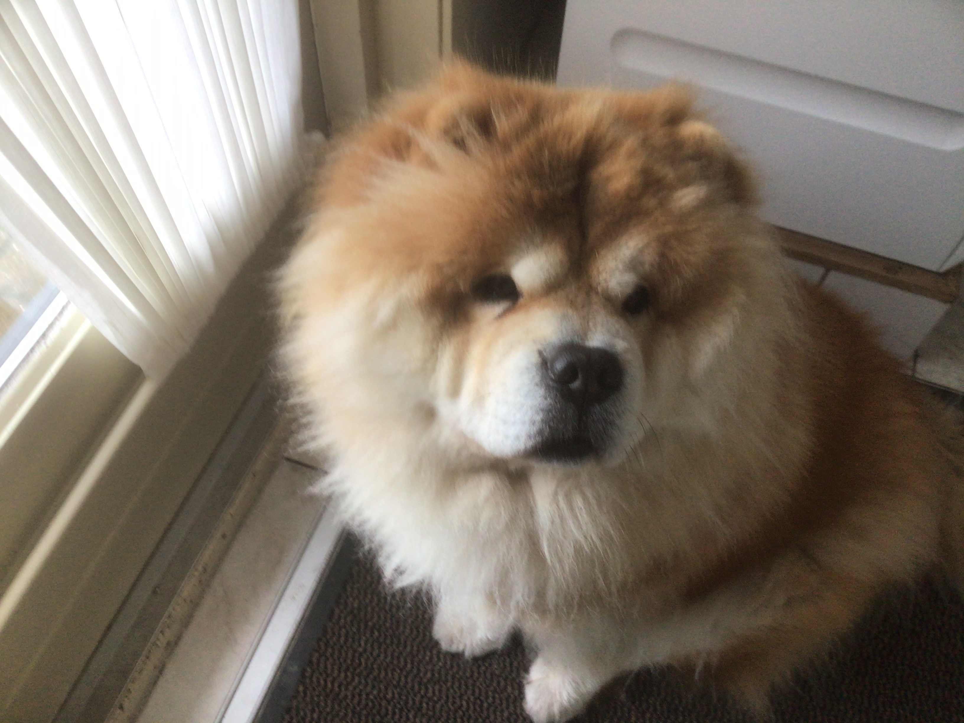 Teuni en Hennie Roest